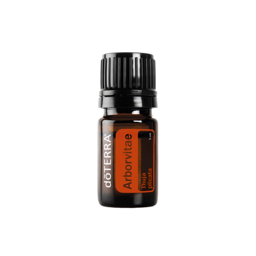 Arbovitae Aceite Esencial 5ml
