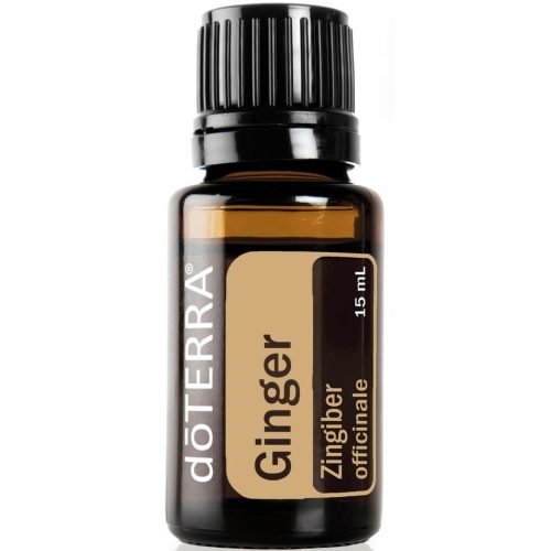 Jengibre Aceite Esencial 15ml